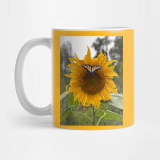 Sunflower with Butterfly Mug